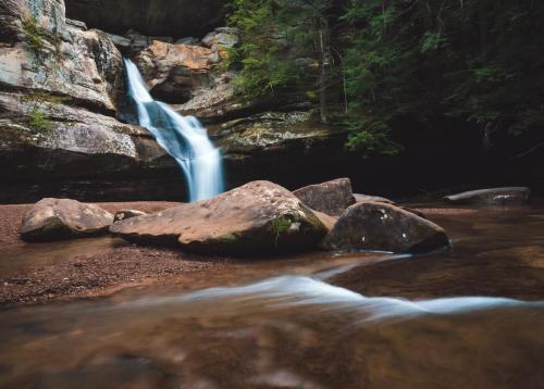 Nature